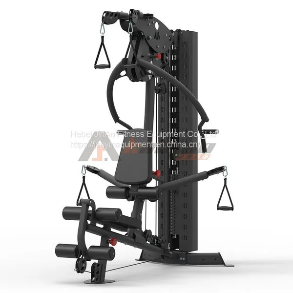 Multi-Use Home Gym photo-2