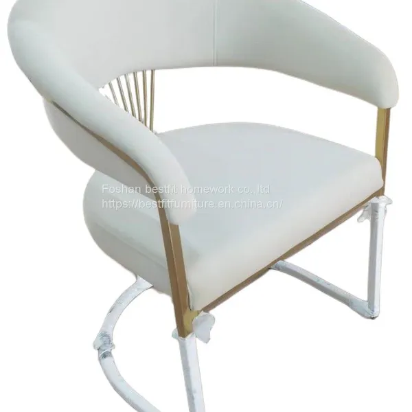 XC258C Nice Shape Stainless Steel Dining Chair Home Furniture Comfortable photo-3