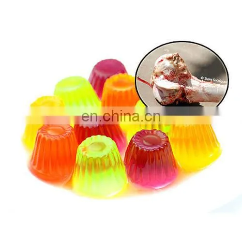 Whole Set Edible Gelatin Production Plant Processing Line