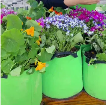 Durable Plant Grow Bags With Handles for Outdoor Gardening photo-5