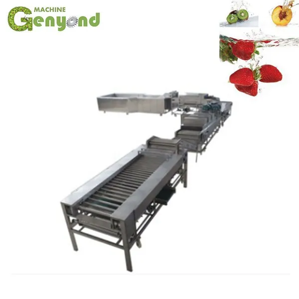 Fruit and Vegetable Surf Type Cleaner Water Clean High Efficiency Food Washing Machine photo-5
