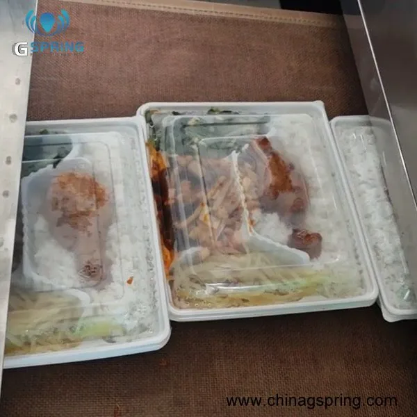 PLC Control Continuous Conveyor Microwave Heating Sterilization Machine For Fast Food / Burgers / Chicken Nuggets photo-2