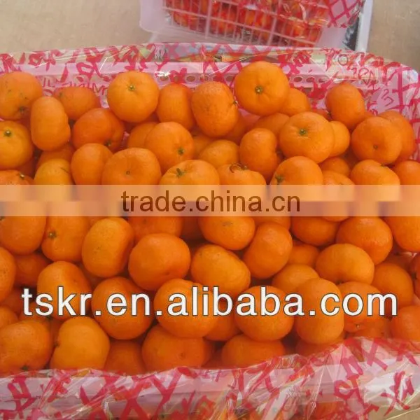 Mandarin Orange