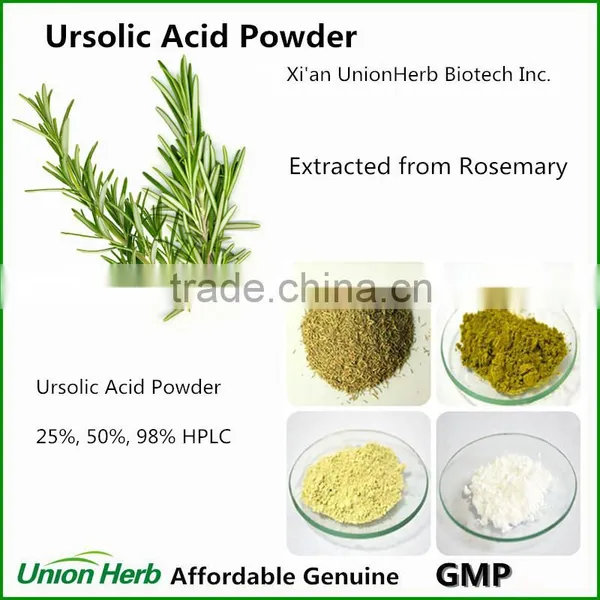 Anti-aging Ursolic Acid Powder From Rosemary Extract