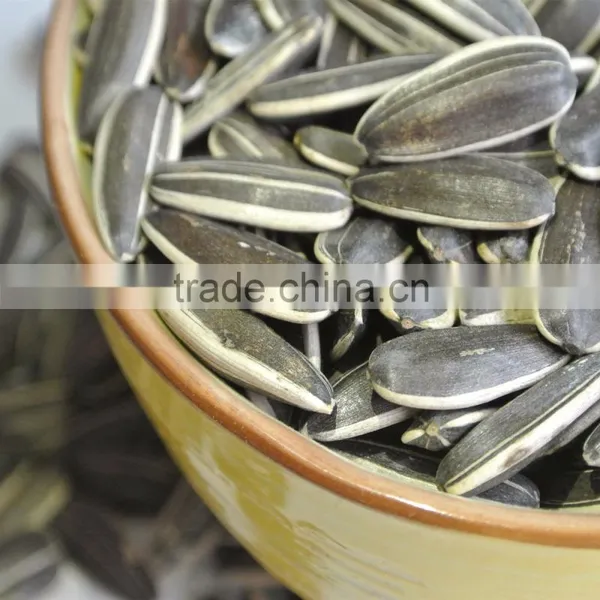 Wholesale Middle Eastern Food Seeds Sunflower, Wholesale Flower Seeds photo-2