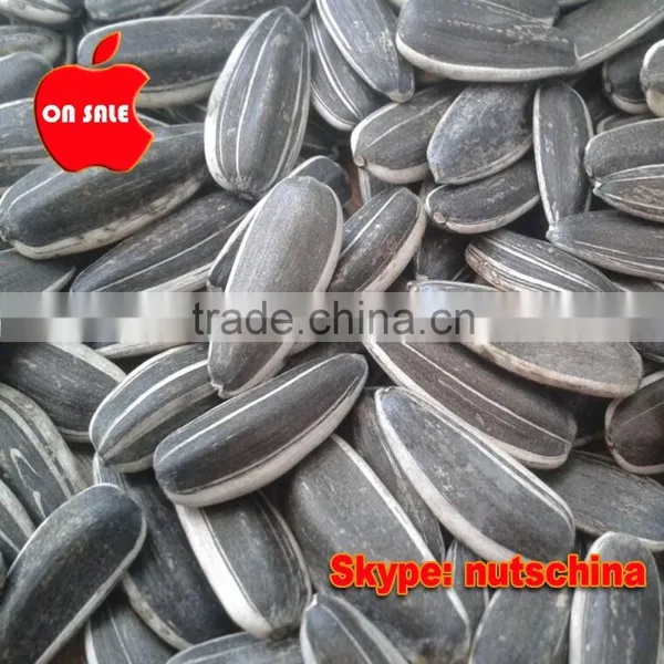 Sunflower Seeds 5009 3939 5135 909 118 photo-5