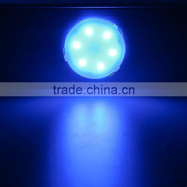 High Brightness DC24V 1.5W Single Color 5050SMD Led Pixel Light for Outdoor or Indoor Decoration photo-4