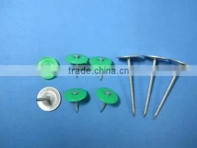 High Quality Metal Round Cap Masonry Nails