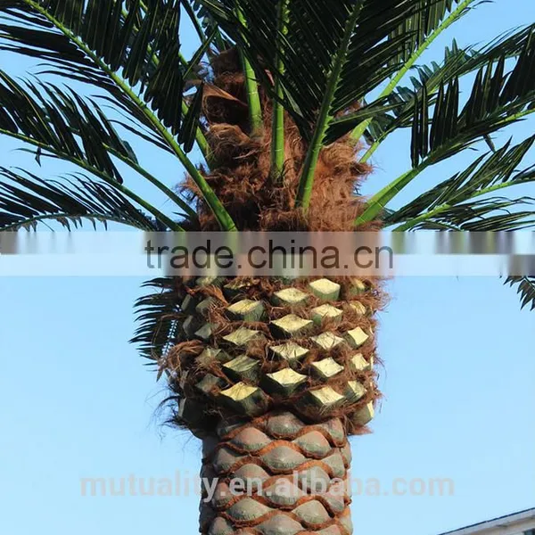 New Fashion Besting Selling Product Artificial Big Tree Large Artificial Date Palm Tree photo-2