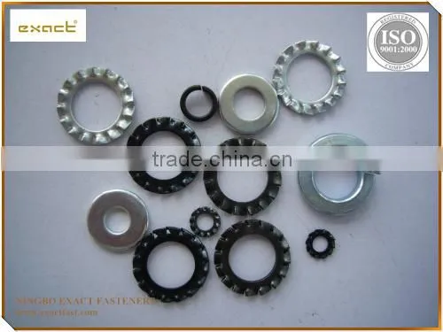 ISO9001 Good Price DIN9021 Plain Washer photo-2