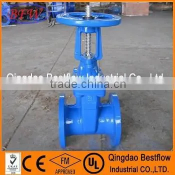 Ductile Iron Rising Stem Gate Valve photo-4
