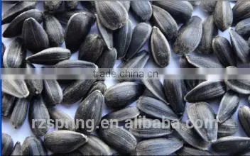BLACK SUNFLOWER SEEDS photo-5