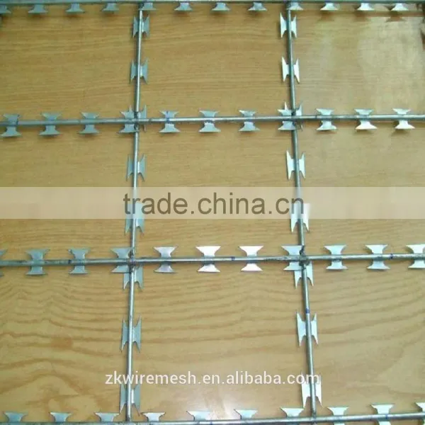 Razor Barbed Wire(factory) photo-4