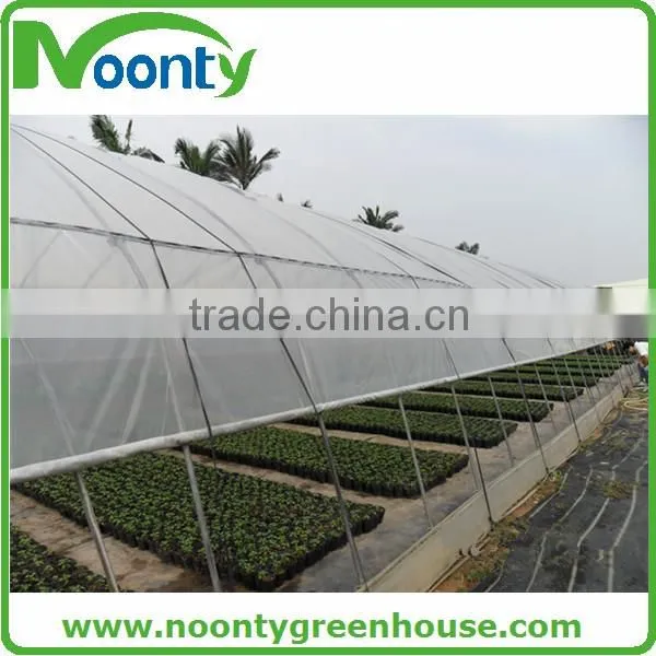 Greenhouse Film photo-6