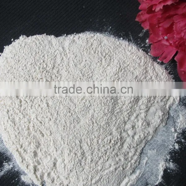 Bulk Packaging and Common Cultivation Type Onion Powder photo-6