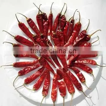 BEST QUALITY HOT RED CHILI FOR SUPPLY photo-2