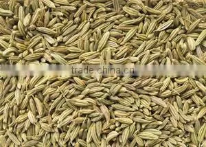Best Quality Fennel Seeds at Best Price