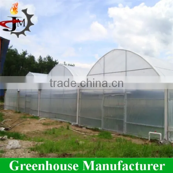 Plastic Inflatable Tunnel Planting Greenhouse for Sale photo-2