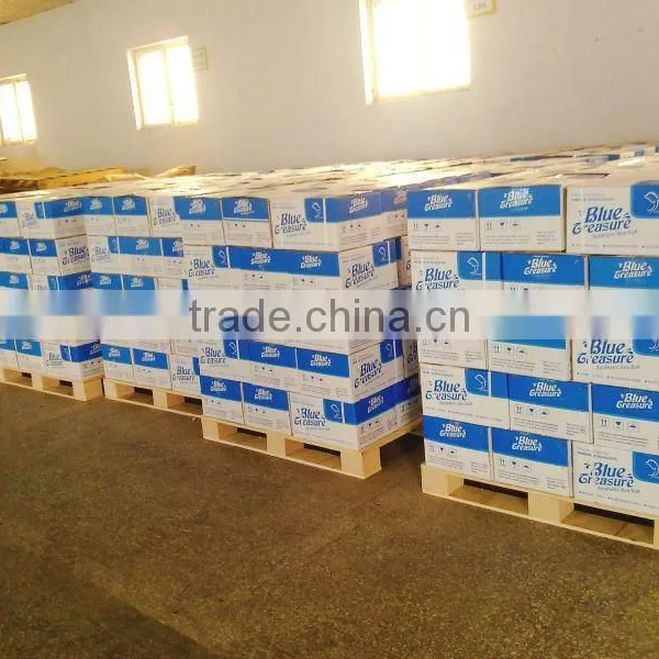 China Sea Cucumber Aquaculture Sea Salt