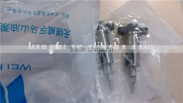 Diesel Element Plunger 2425 981 photo-6