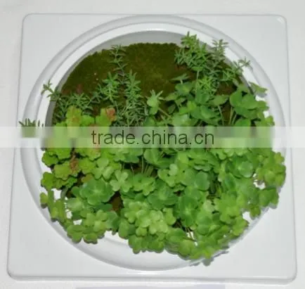 SJ0409028 Mini Artificial Fake Wall/hanging Plant Wall photo-4