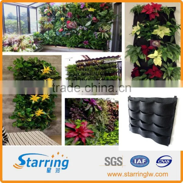 Felt Planting Bag , Decoration Green Wall Planting Bag photo-4