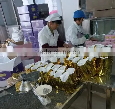 High Quality EU Standard Chunmee Green Tea 41022aaaaaa