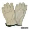 Sell Cow Grain Leather Driver Gloves