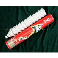 Shuttlecock Singapore