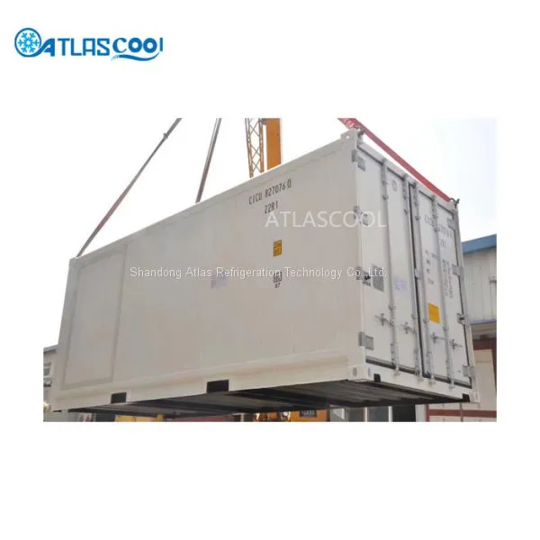 Mobile container blast freezer portable freezing container for seafood and meat