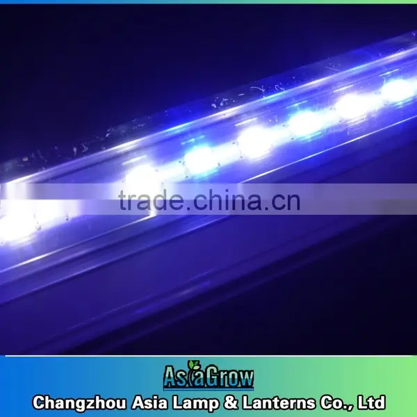 LED Grow Tube White+blue+UV 36w t5 LED photo-2
