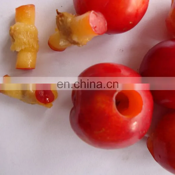 Cherry Pitting Machine / Olive Seed / Cherry Pit Removing Machine photo-3