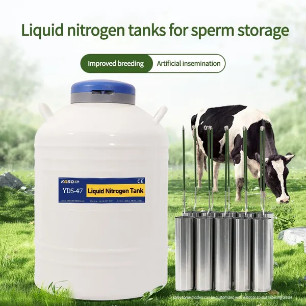 Isle of Man-liquid Nitrogen Tank for Artificial Insemination-cryogenic Container photo-3