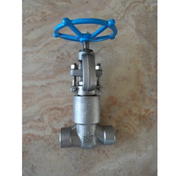 ANSI Forged Globe Valve Designed for Oil and Gas Pipelines Featuring API 598 Testing Compliance photo-5