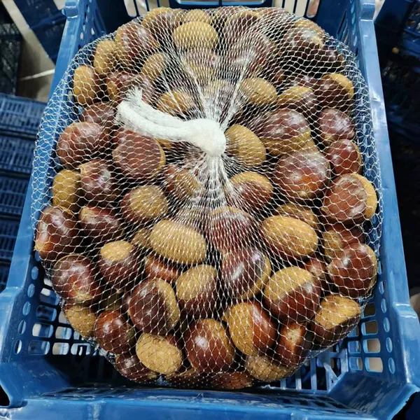 Quality Chestnut Organic Healthy Chestnut Snack in 5KG,10KG,15KG Pack