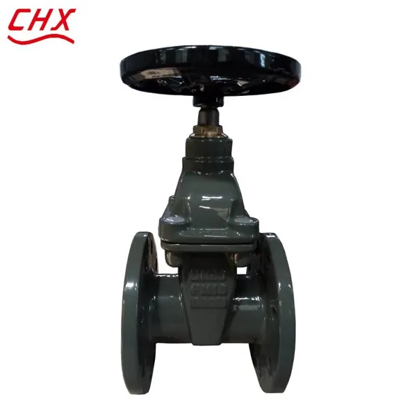 BS Gate Valve Cast Iron Ductile Iron GGG50 GG25 PN16 Flange Gate Valve Non Rising Stem Soft Seal Gate Valve photo-6