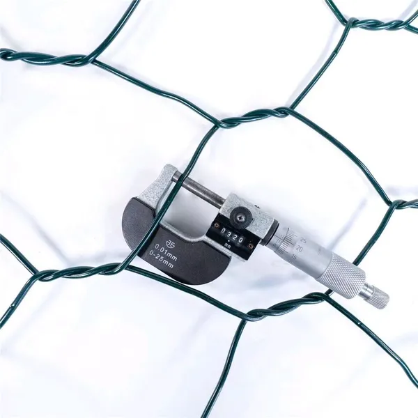 Hot Sale Galvanized Hexagonal Wire Mesh/Chicken Wire Netting photo-3