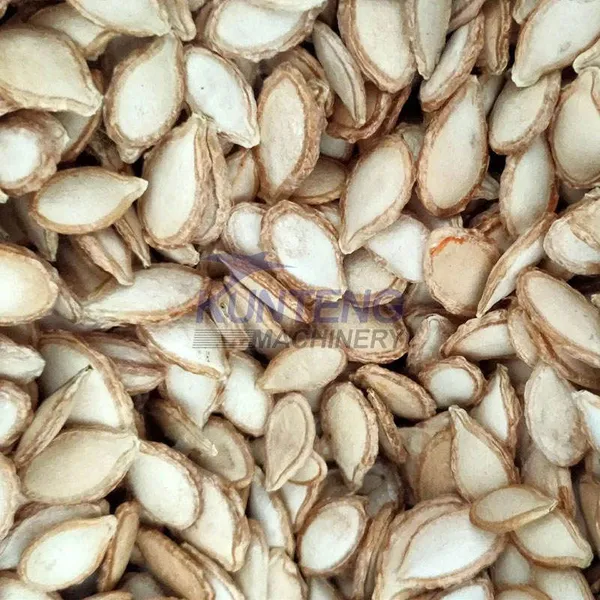 Dryer Machine for Agricultural Seed Sorghum Sunflower Pumpkin Seed Drying Machine Heat Pump Dryer EPC photo-2