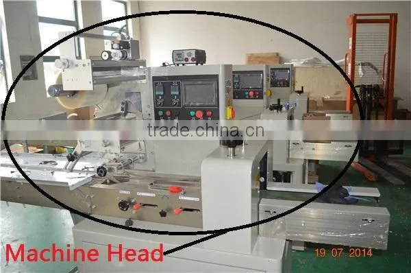 China Factory YB-350 Automatic Pillow Type Idli Packing Machine Horizontal Flow/0086-18516303933 photo-5