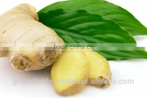 Essential Ginger Massage Oil