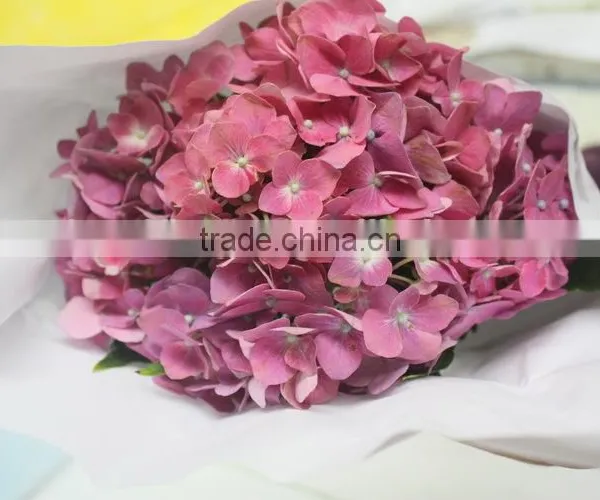 Fresh Hot Sale European Style Flower Hydrangea photo-3