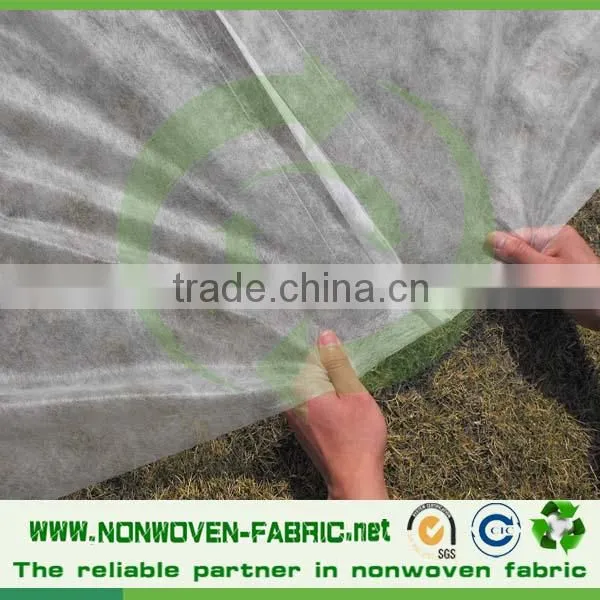 Agriculture Biodegradable PP Spunbond Nonwoven Fabric Garden Fleece/ Weed Control/ Ground Cover photo-4