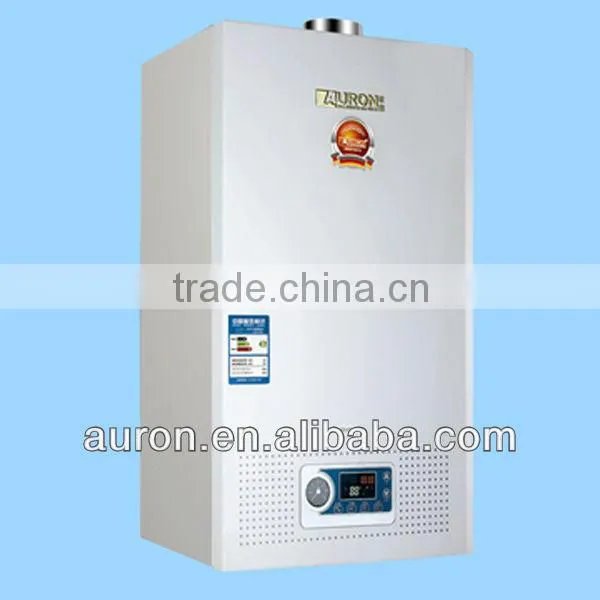 CE Gas Boiler for Iron Market