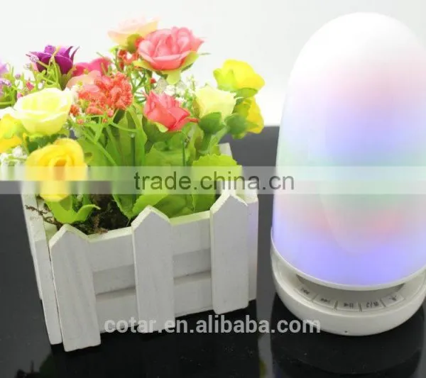 Lamp Speaker 5W Unique Design Camp Bluetooth Speaker With Night Light photo-3