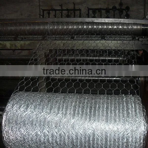 Galvanized Hexagonal Chicken Wire Mesh photo-4