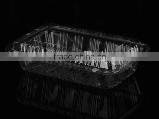 Clear Plastic Disposable Sushi Container on Sale