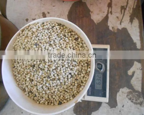 Black and White Pepper Clean