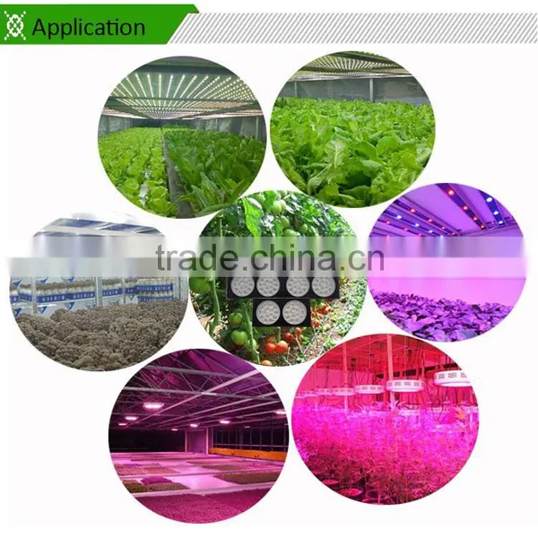 2016 Hot Sale 360w Hydroponics Grow Kit Cheap 300w Hydroponic Grow Light for Hydroponics Greenhouse photo-6