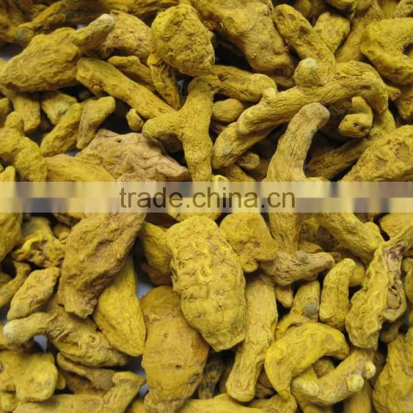 Organic Turmeric Finger photo-4