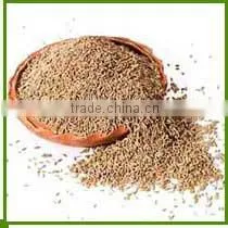 CUMIN SEEDS